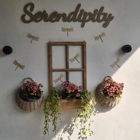 Serendipity Arnasco